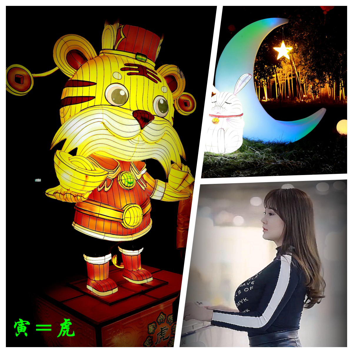 3，寅=虎.jpg