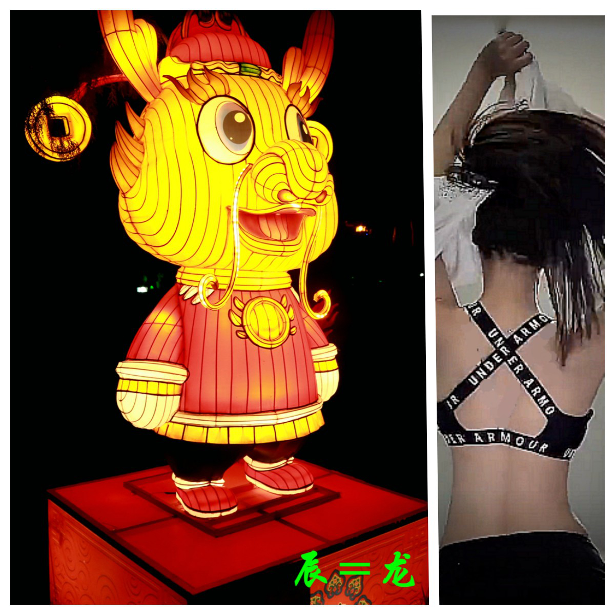 5.辰=龙.jpg