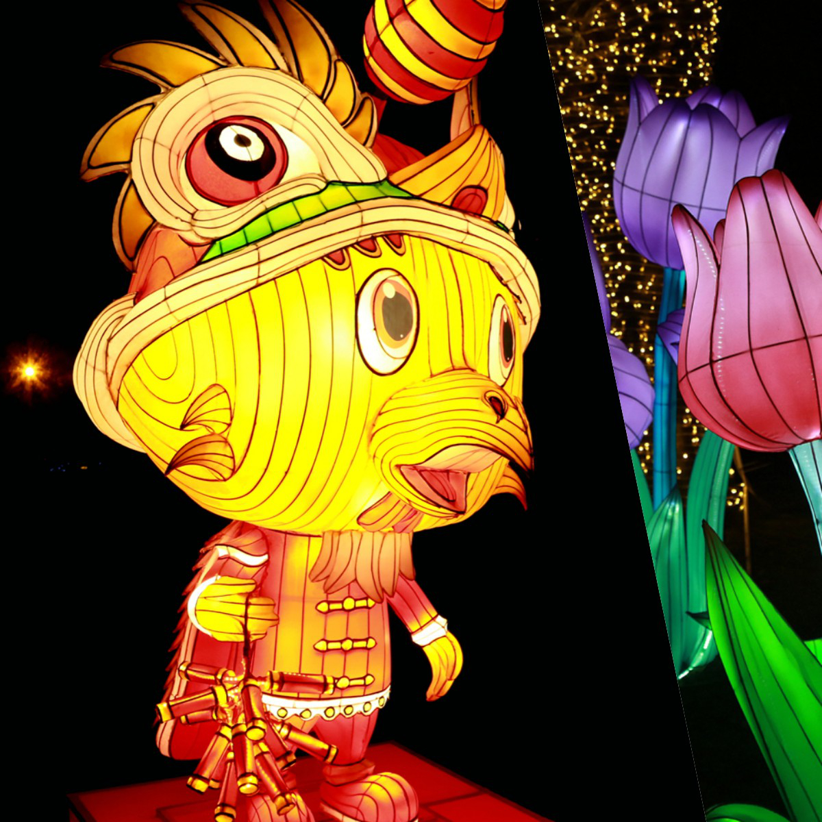 10.酉=鸡.jpg