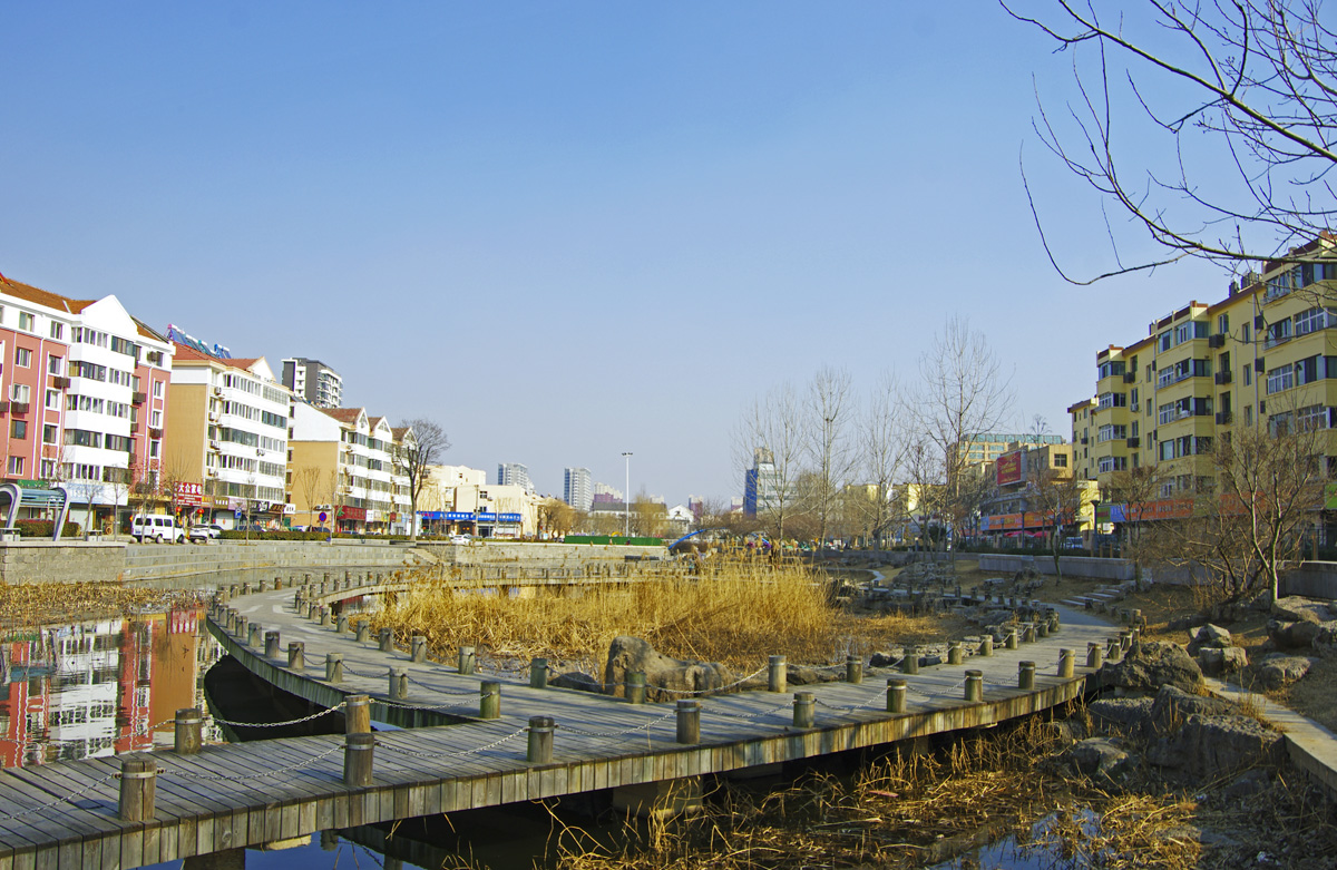 IMGP8661.jpg