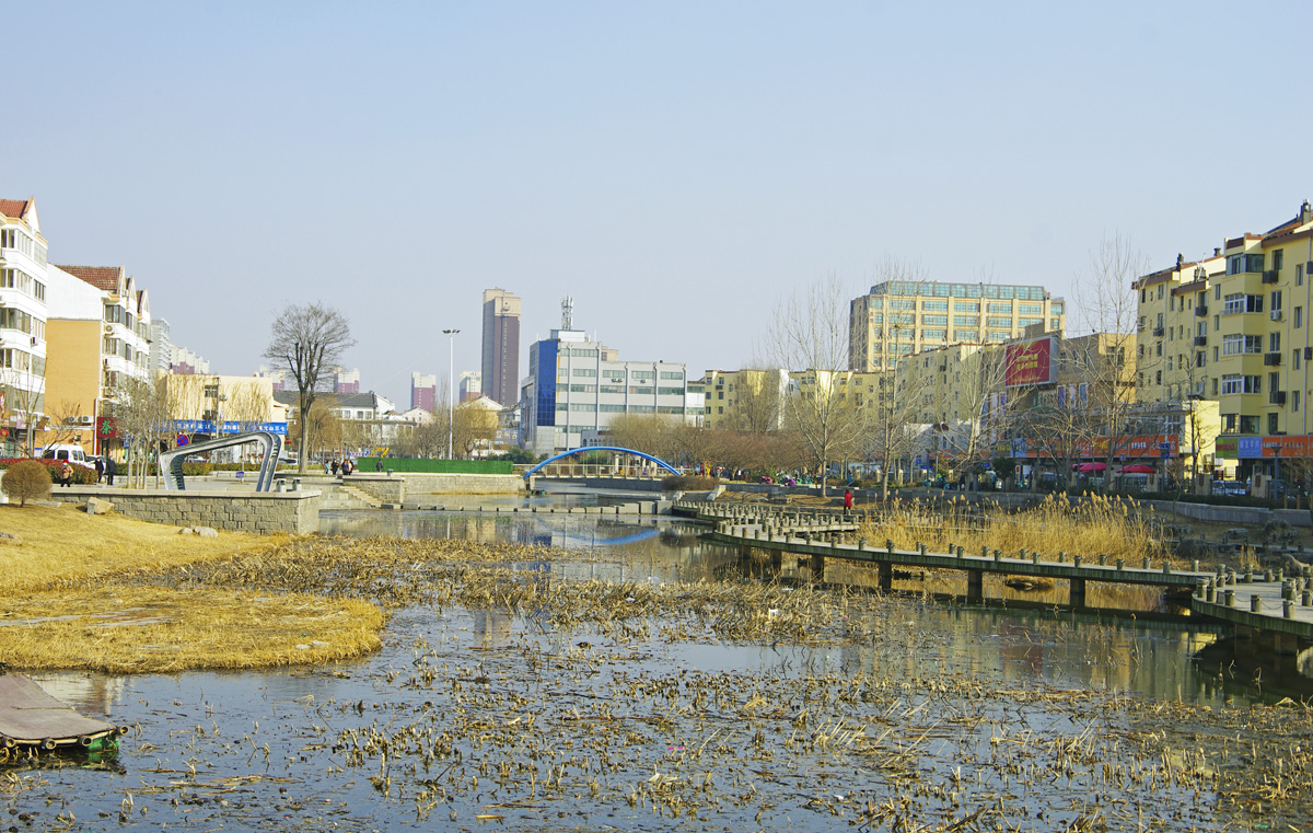 IMGP8669.jpg