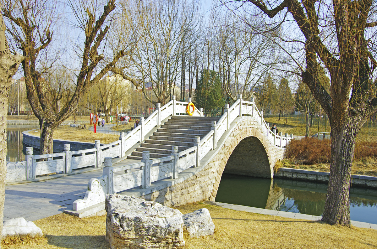 IMGP8674.jpg
