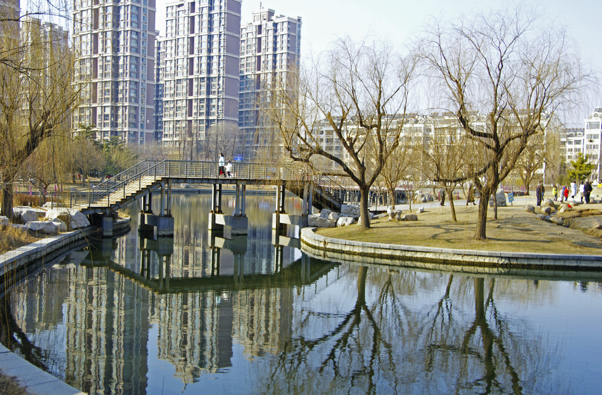 IMGP8689.jpg