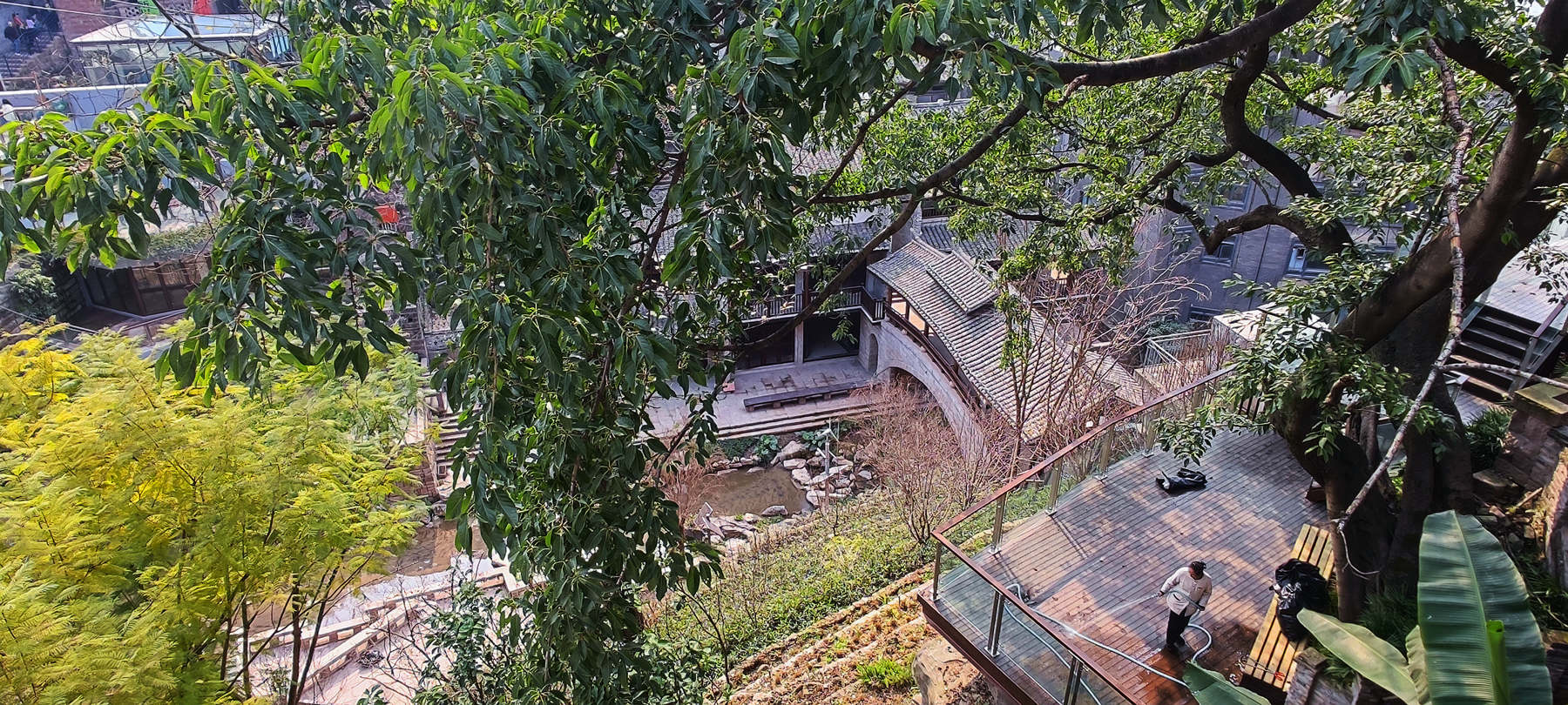 IMG_20230205_141755_副本.jpg