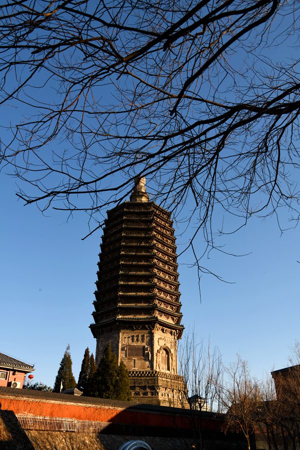 DSC_7837_副本.jpg