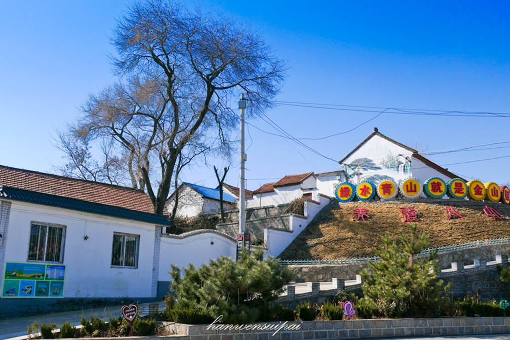 P1000394.JPG