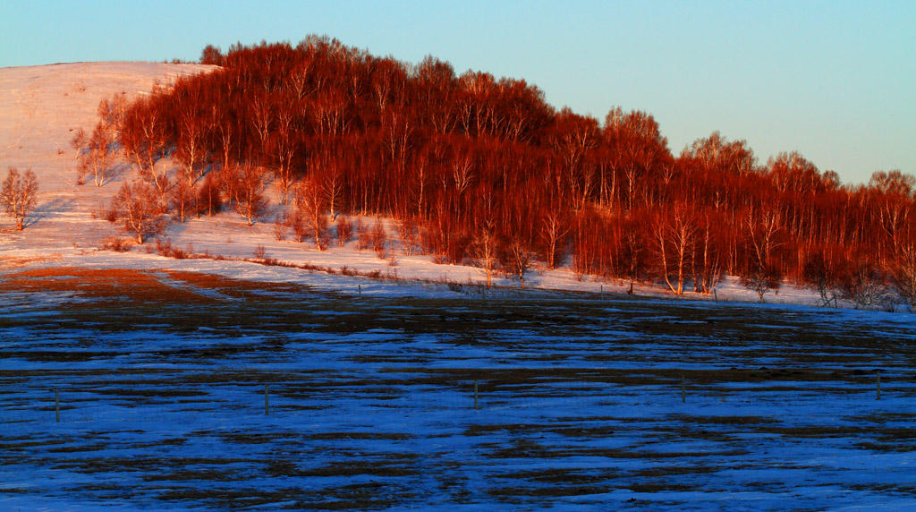 _MG_8934.JPG