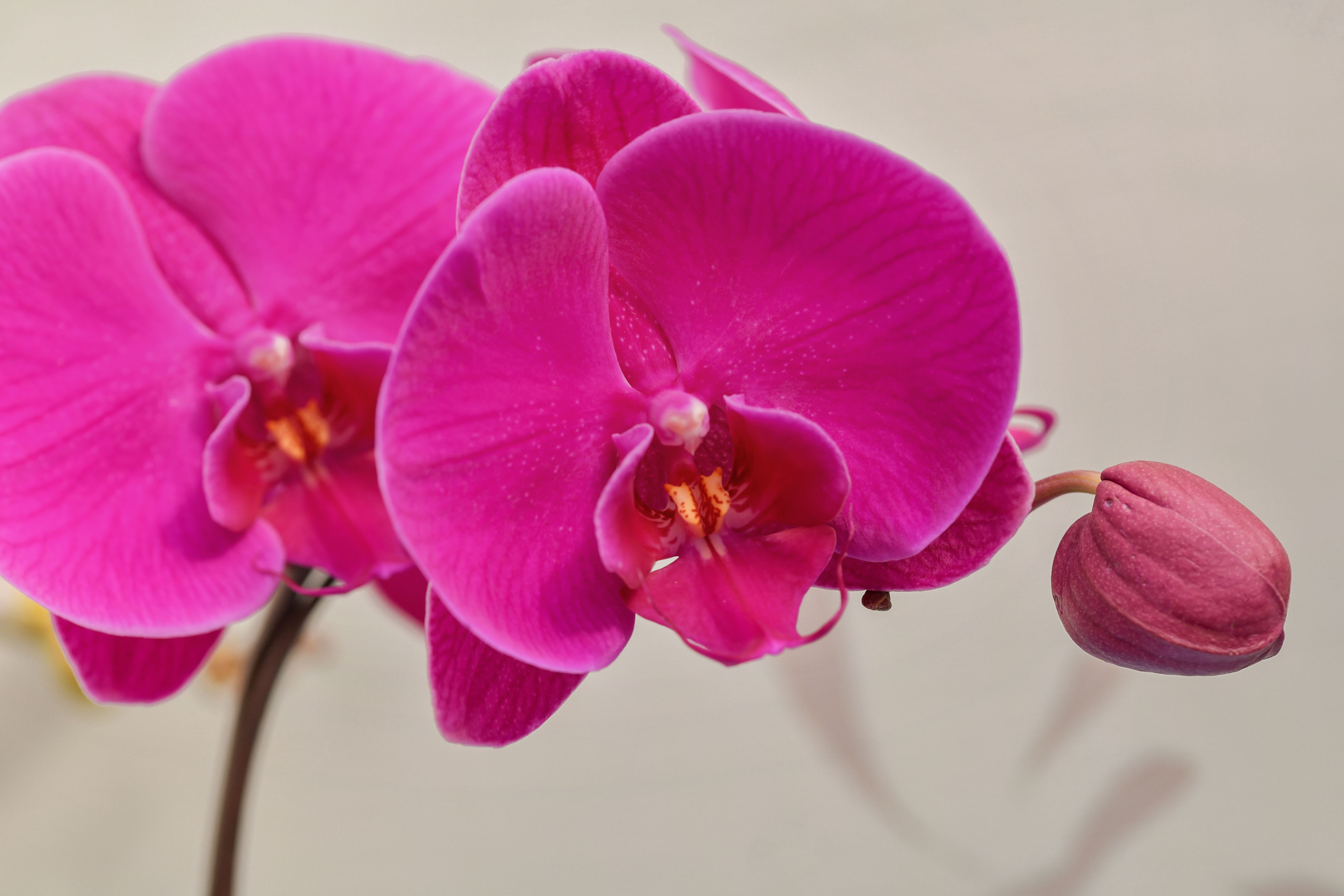 DSC_9013拷贝2.jpg