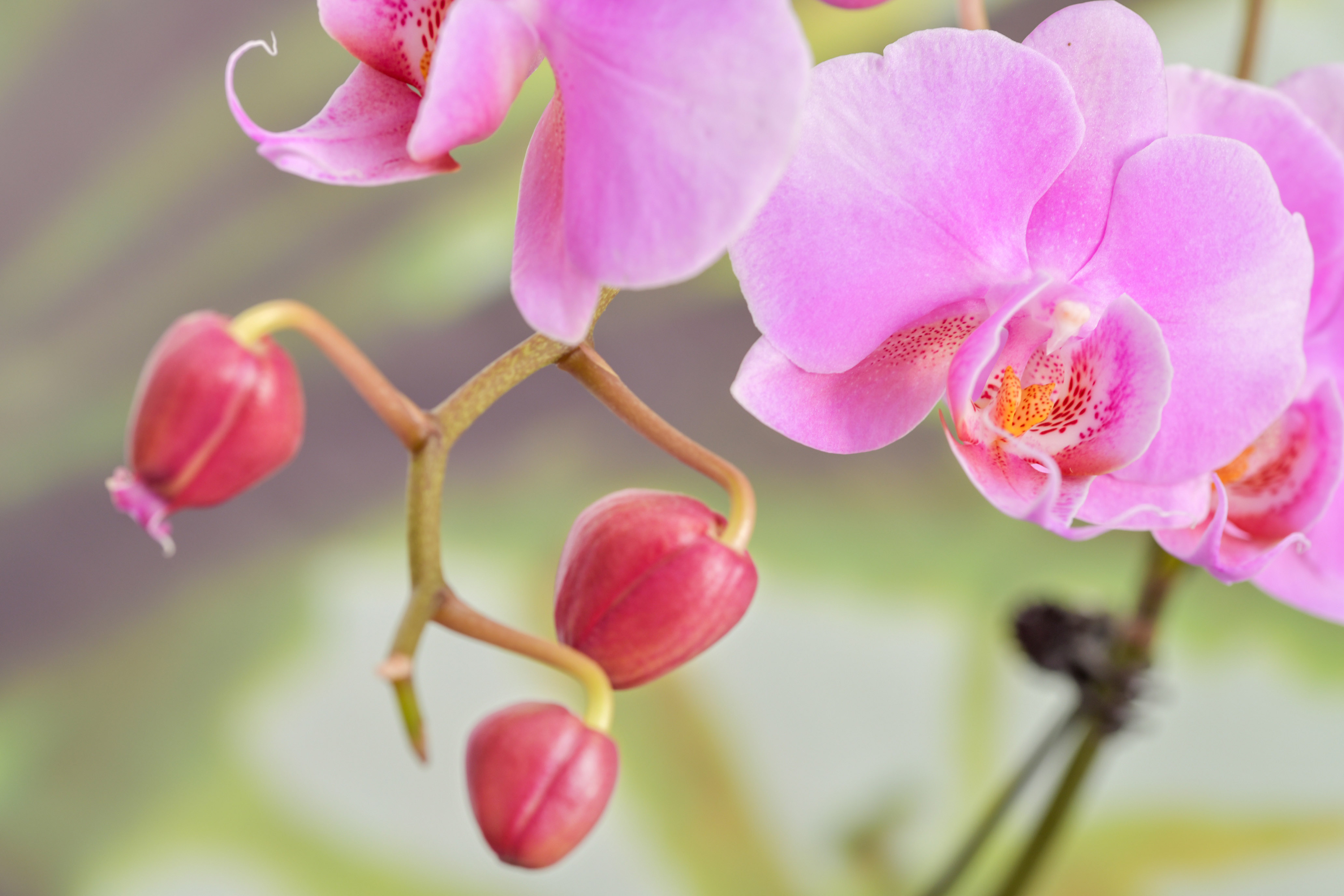 DSC_9009拷贝2.jpg