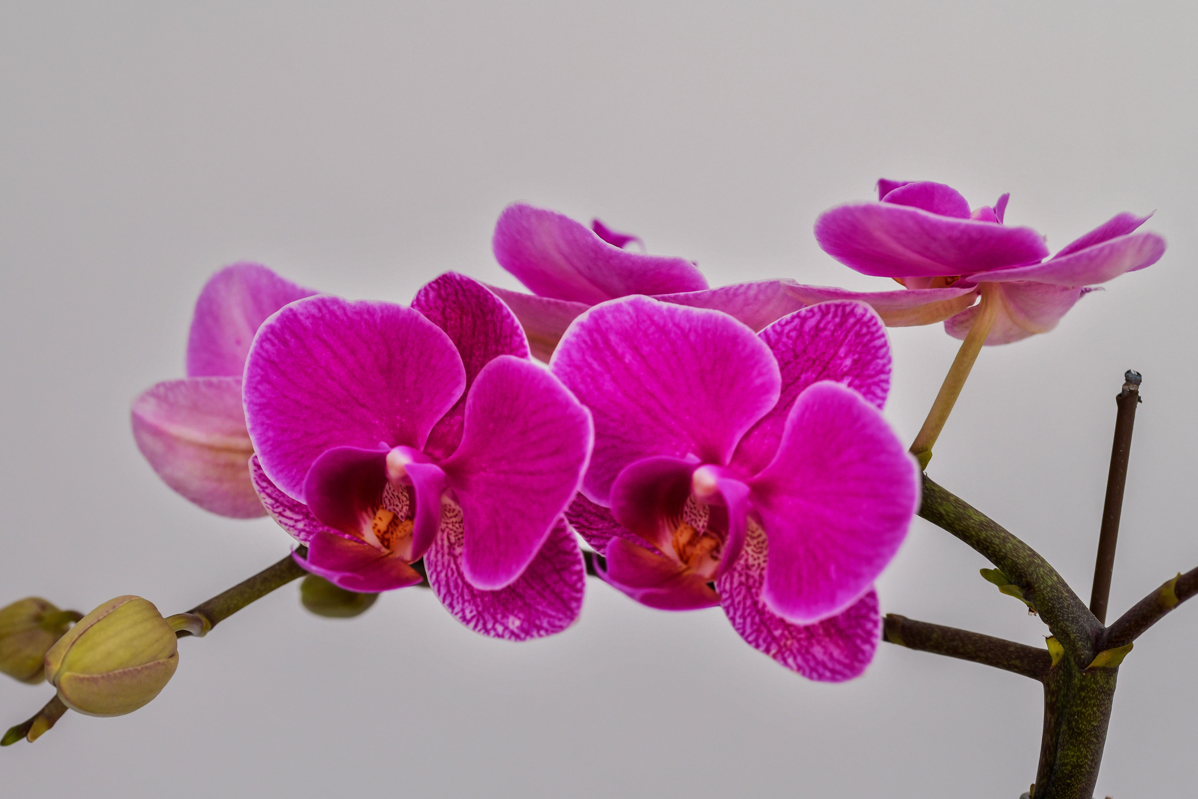 DSC_9018拷贝2.jpg