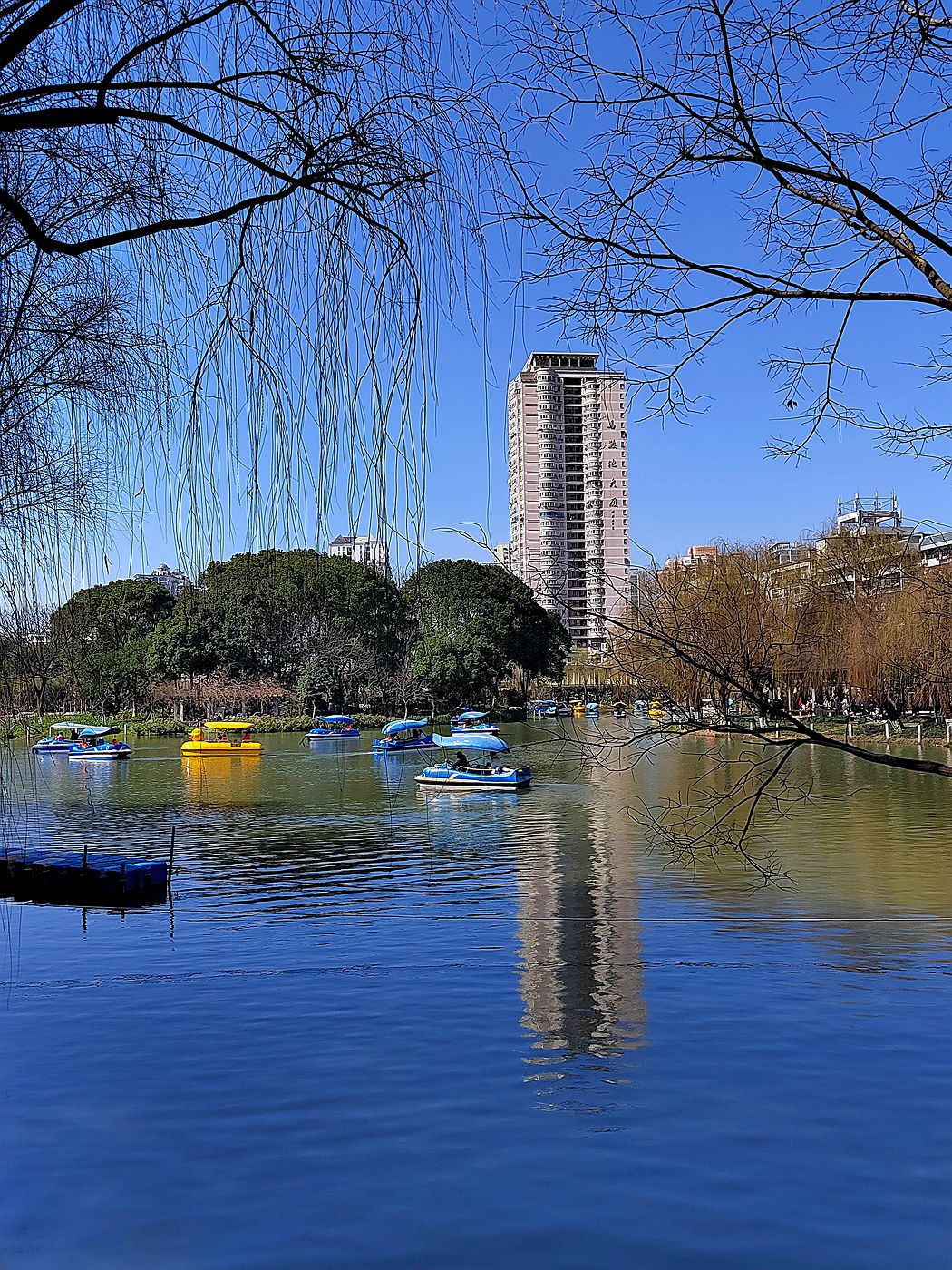 mmexport1677494092608_副本.jpg