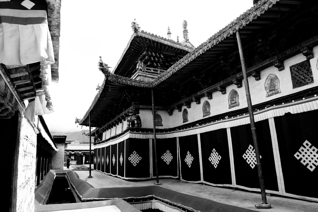 _MG_8651.JPG