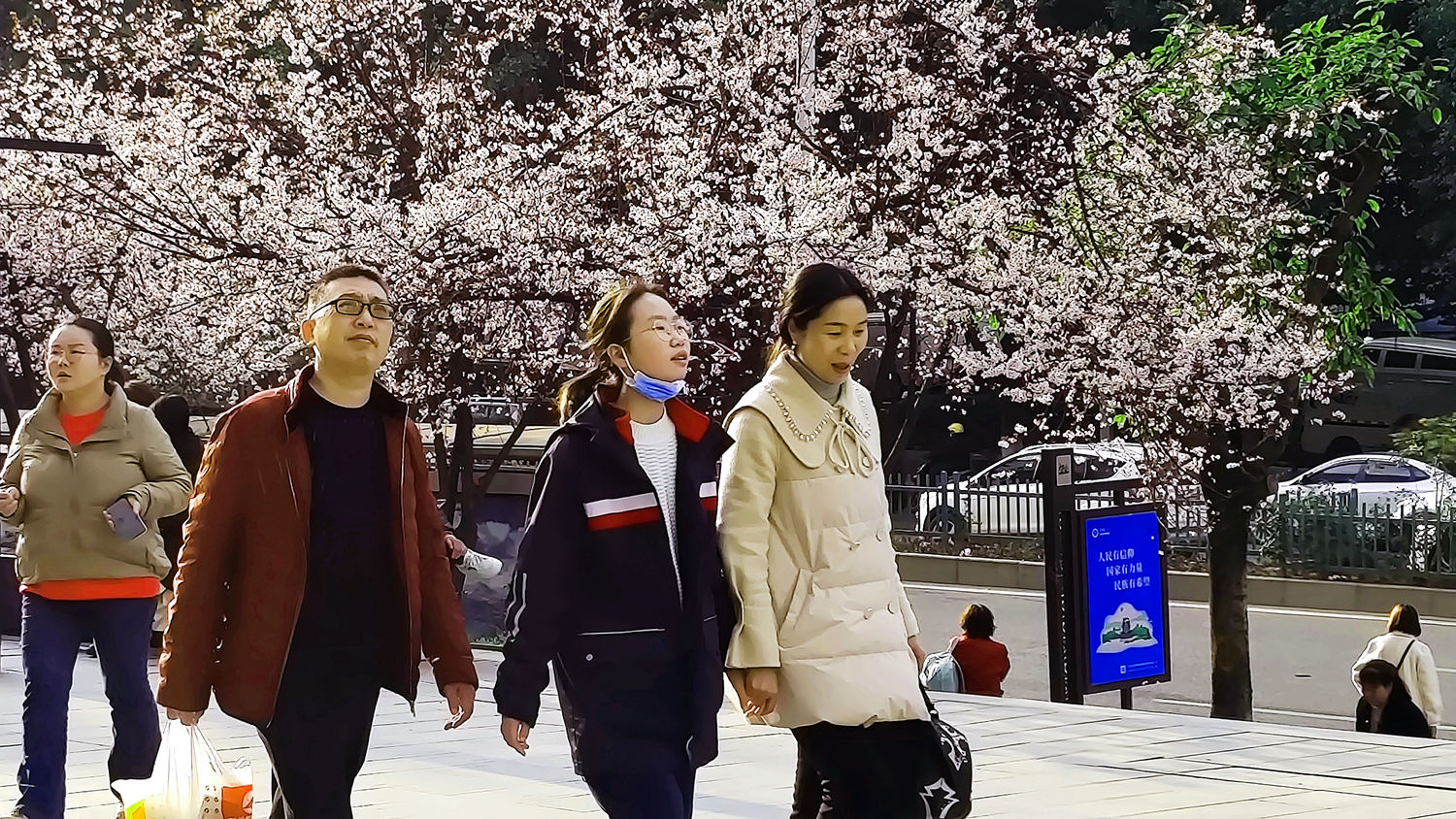 2-MVIMG_20230225_171847_副本.jpg