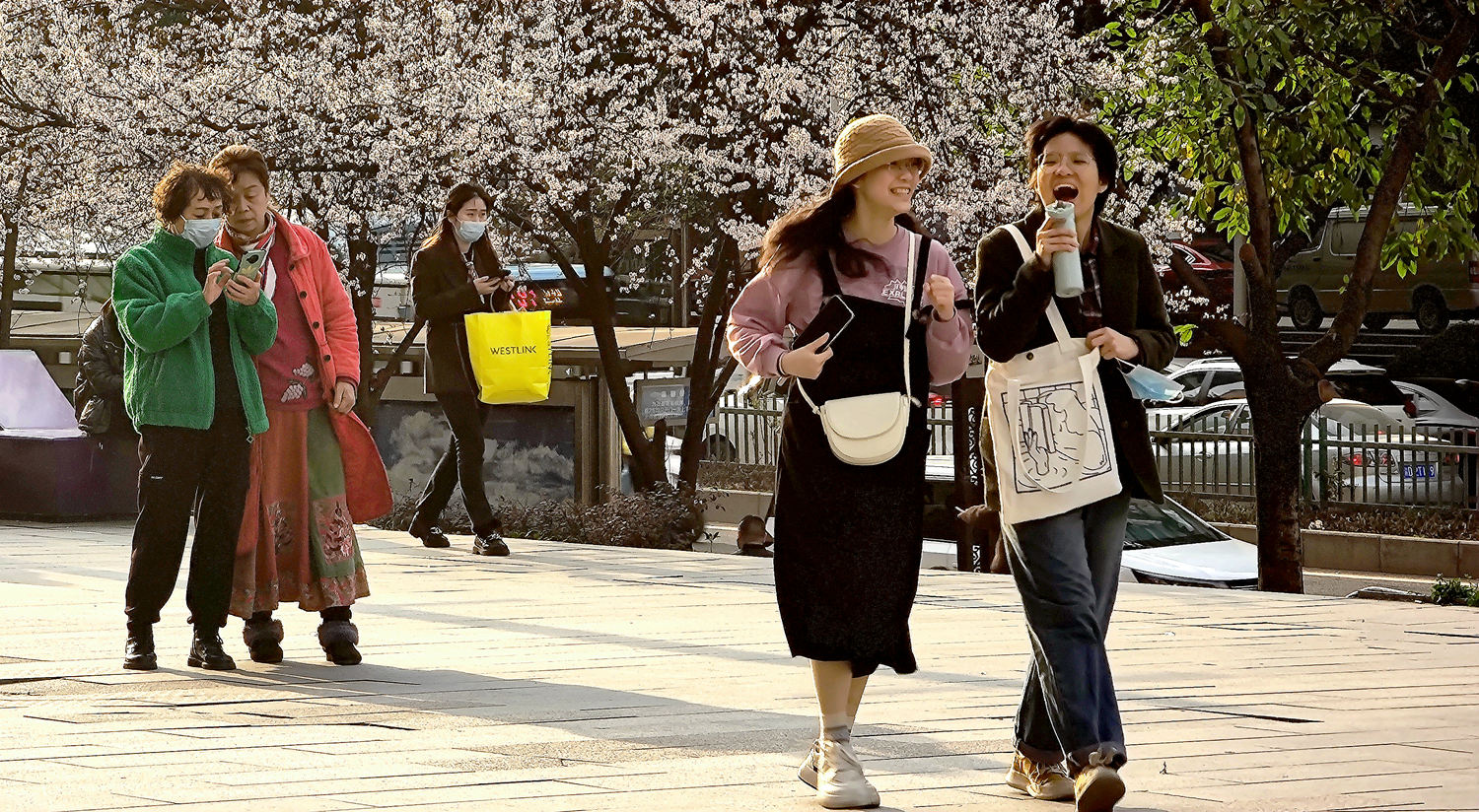 5-MVIMG_20230225_171758_副本.jpg