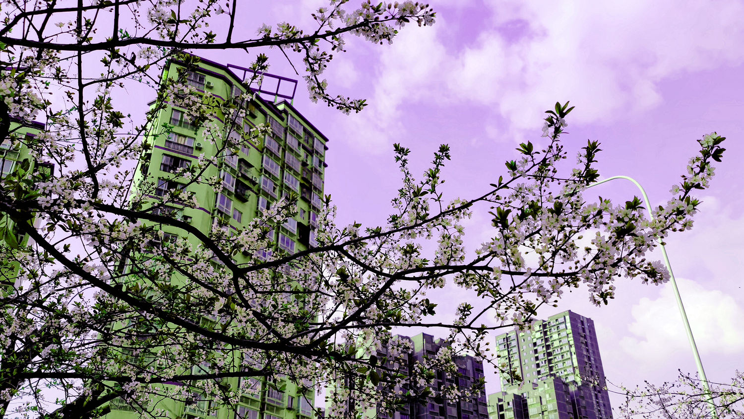 6-MVIMG_20230225_171116_副本.jpg