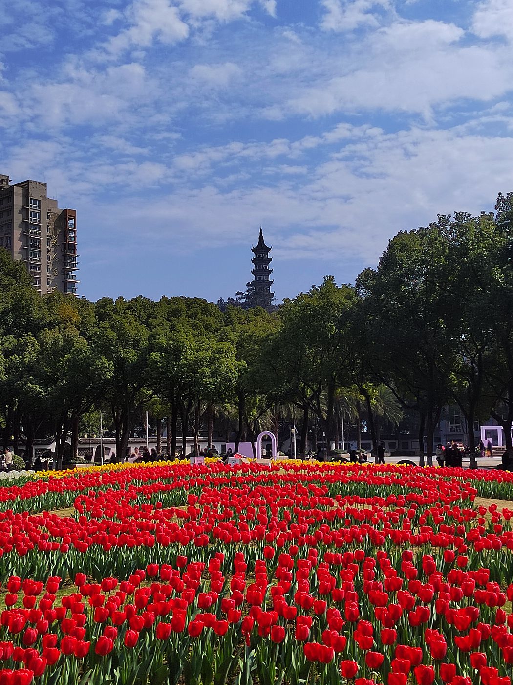 IMG_20230223_132405_副本.jpg