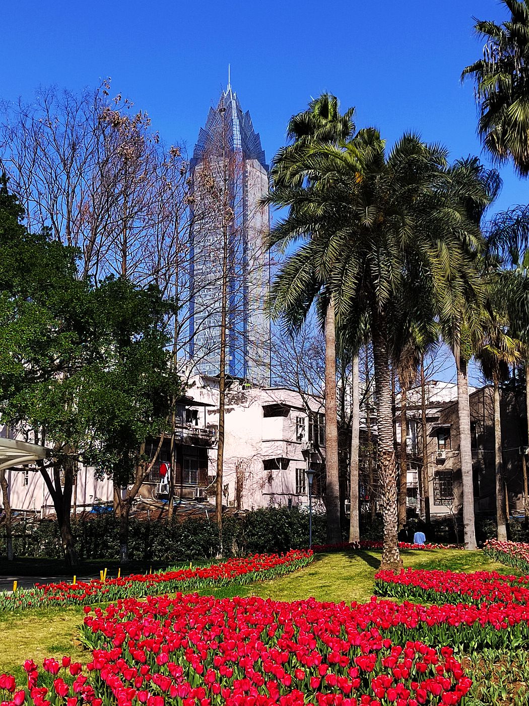 IMG_20230221_135229_副本.jpg