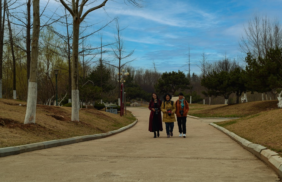DSC_8321.jpg