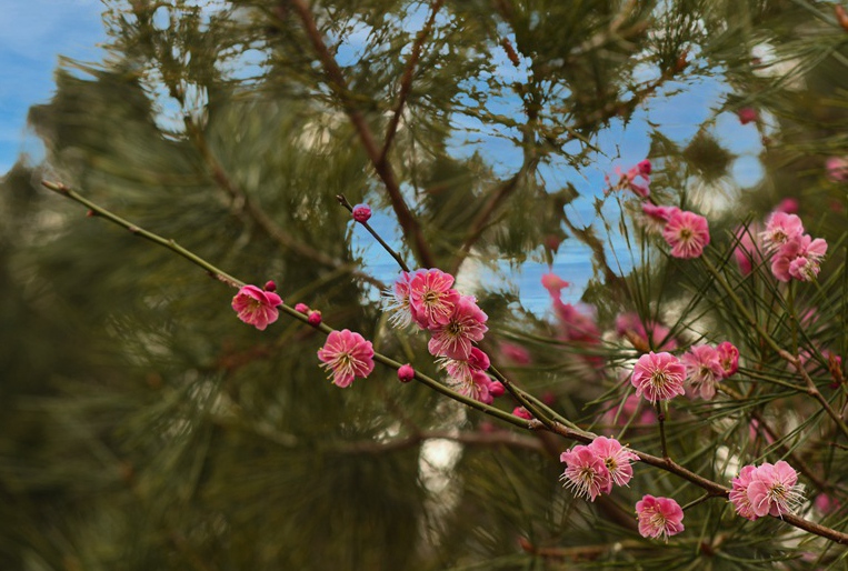 DSC_8364.jpg