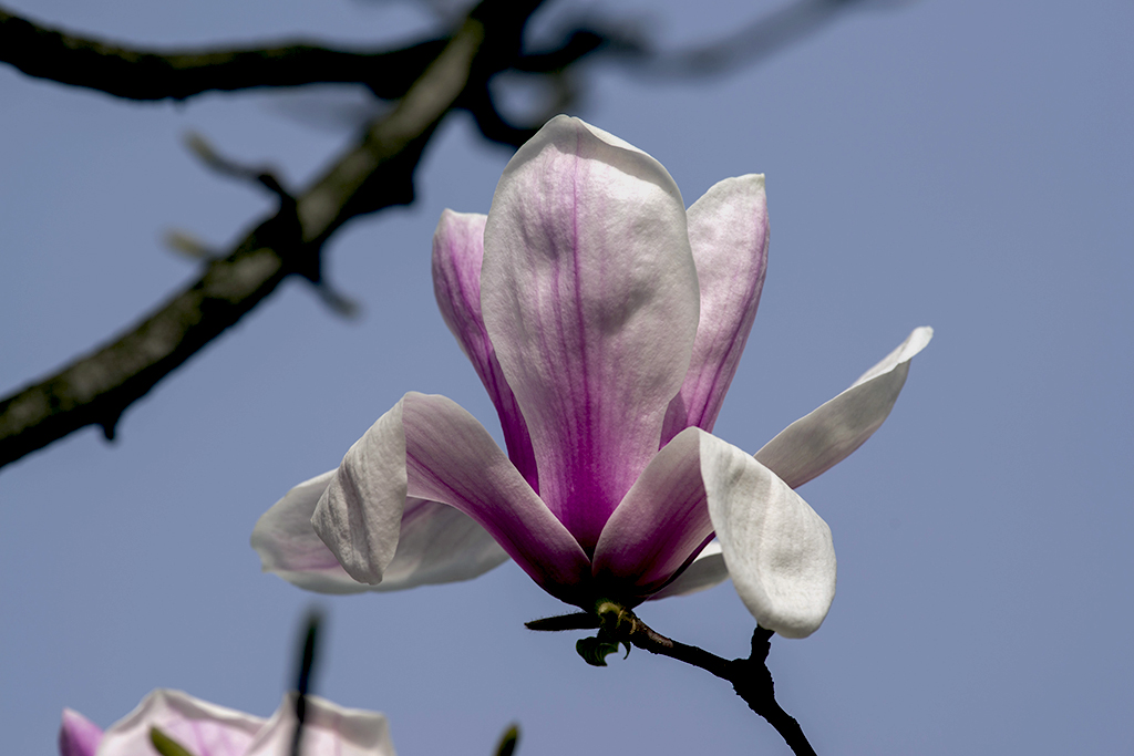 IMGP0954副本.jpg