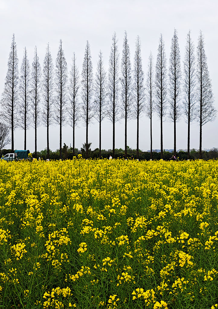 IMG_20230316_091633拷贝.jpg