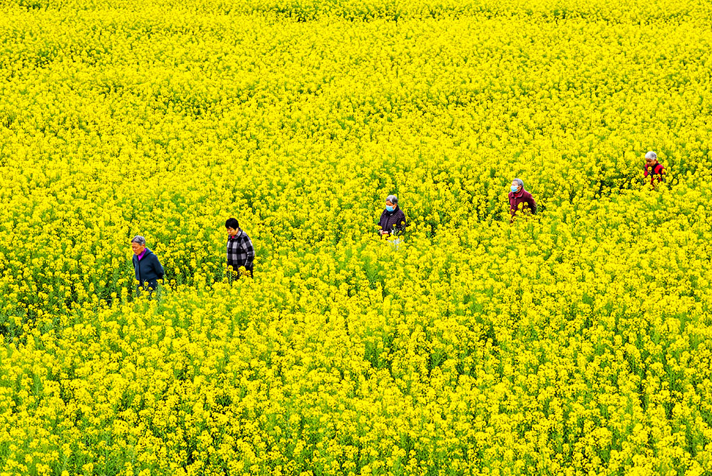 IMG_20230316_092618拷贝.jpg