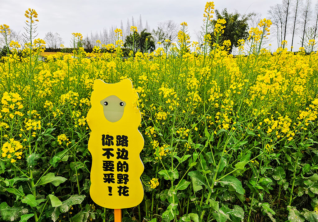 IMG_20230316_093221拷贝.jpg