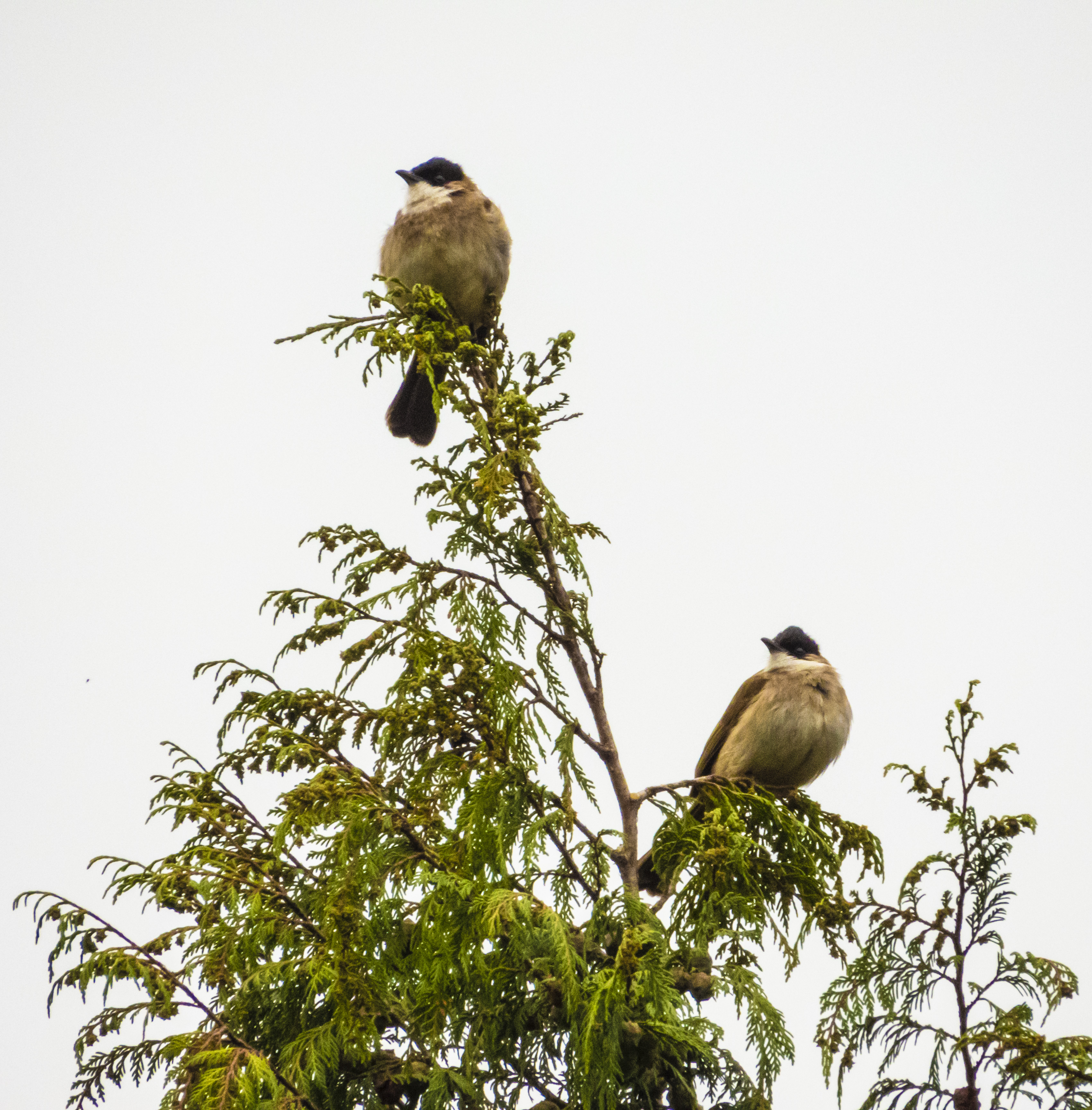 DSCN2820.jpg