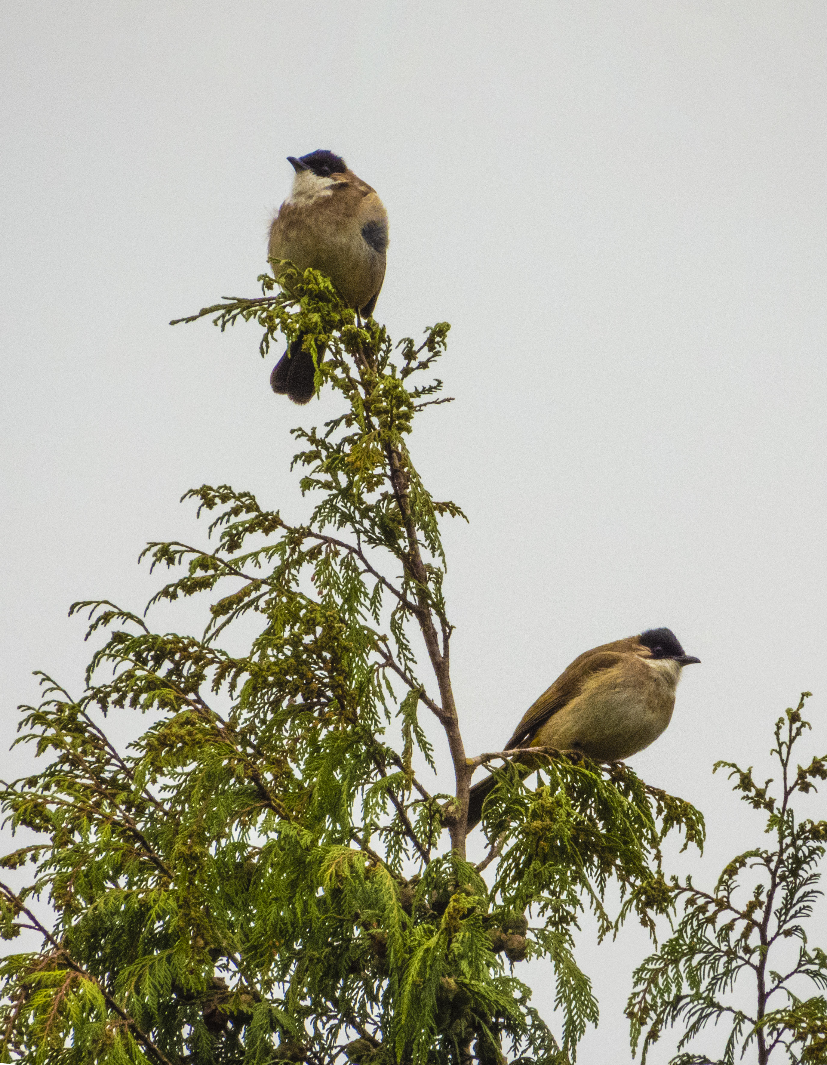 DSCN2831.jpg