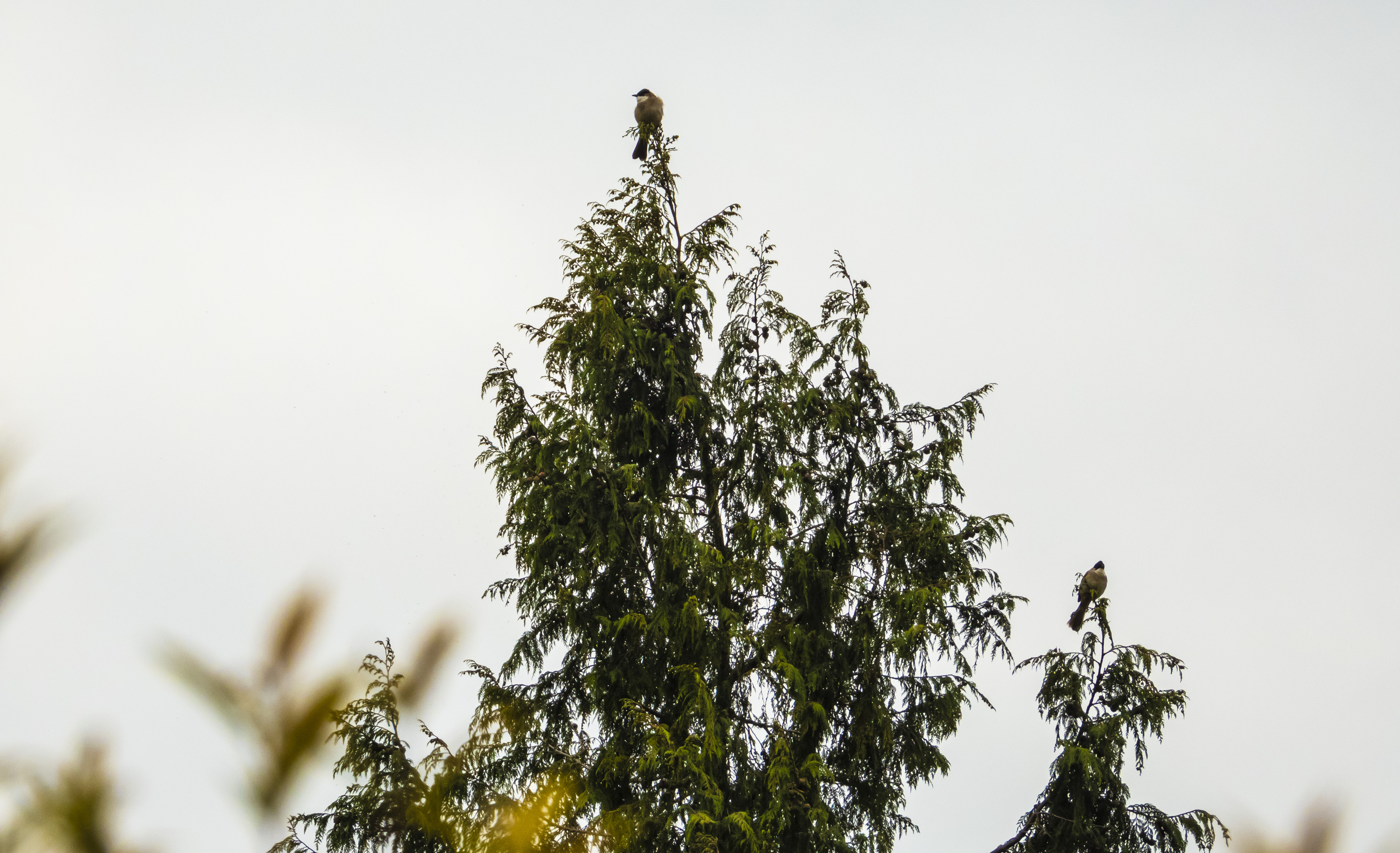 DSCN2801.jpg