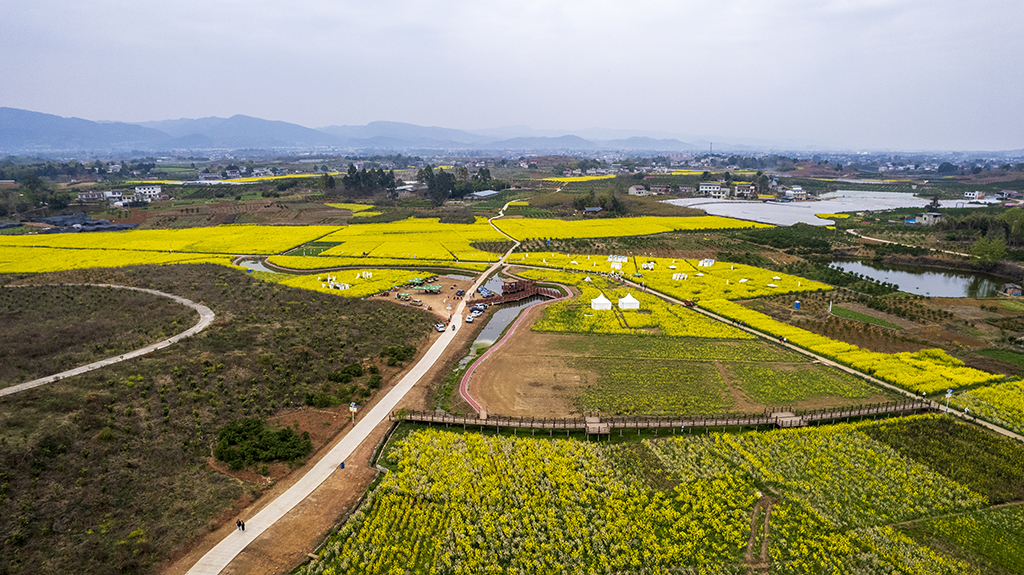 DJI_03631.jpg