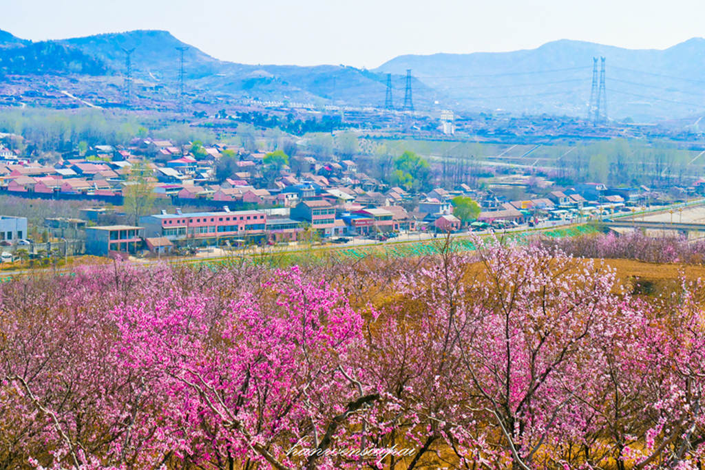 P1000436.JPG