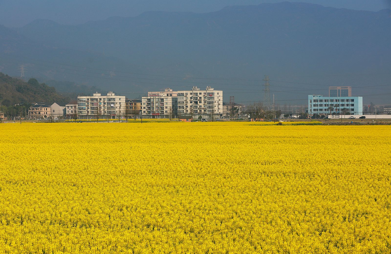 IMG_5681_副本.jpg