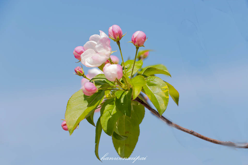 IMG_8679.JPG