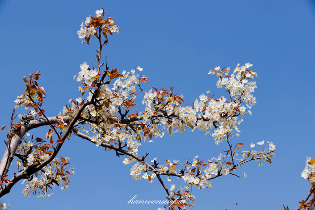 IMG_8686.JPG