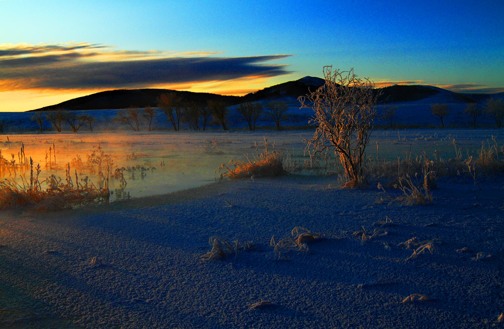 _MG_6382.JPG