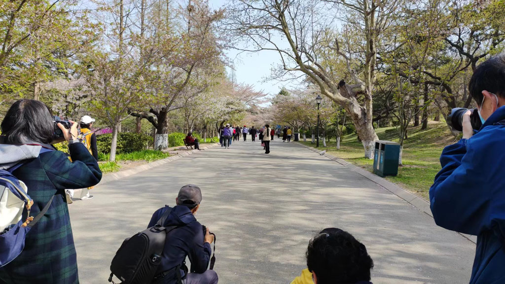 微信图片_20230413223316.jpg