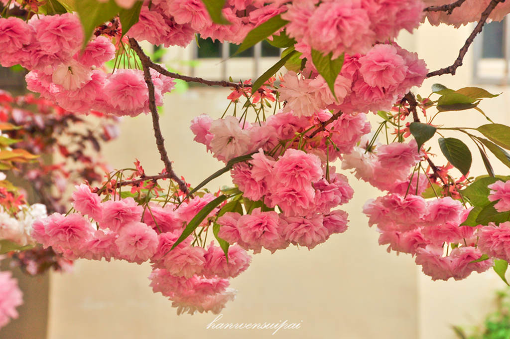 DSC_0031.JPG