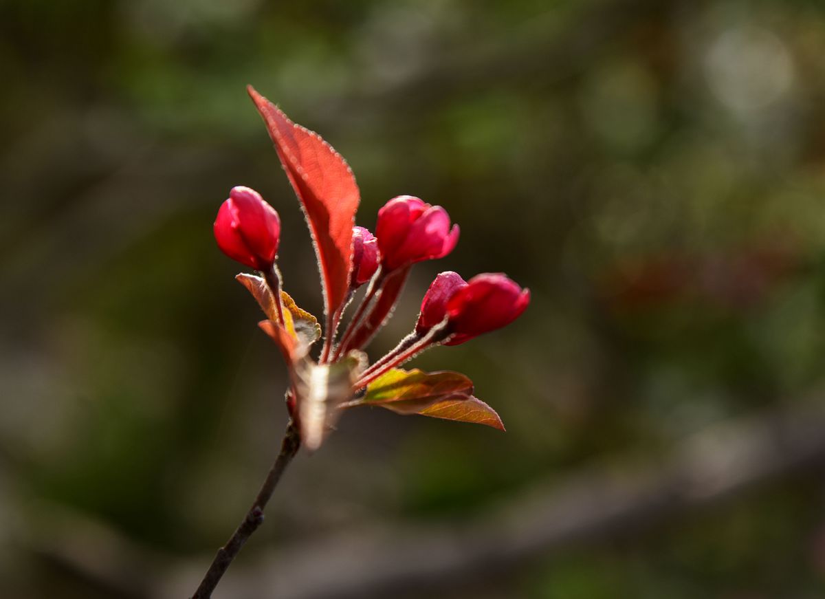 DSC_2935拷贝_副本.jpg