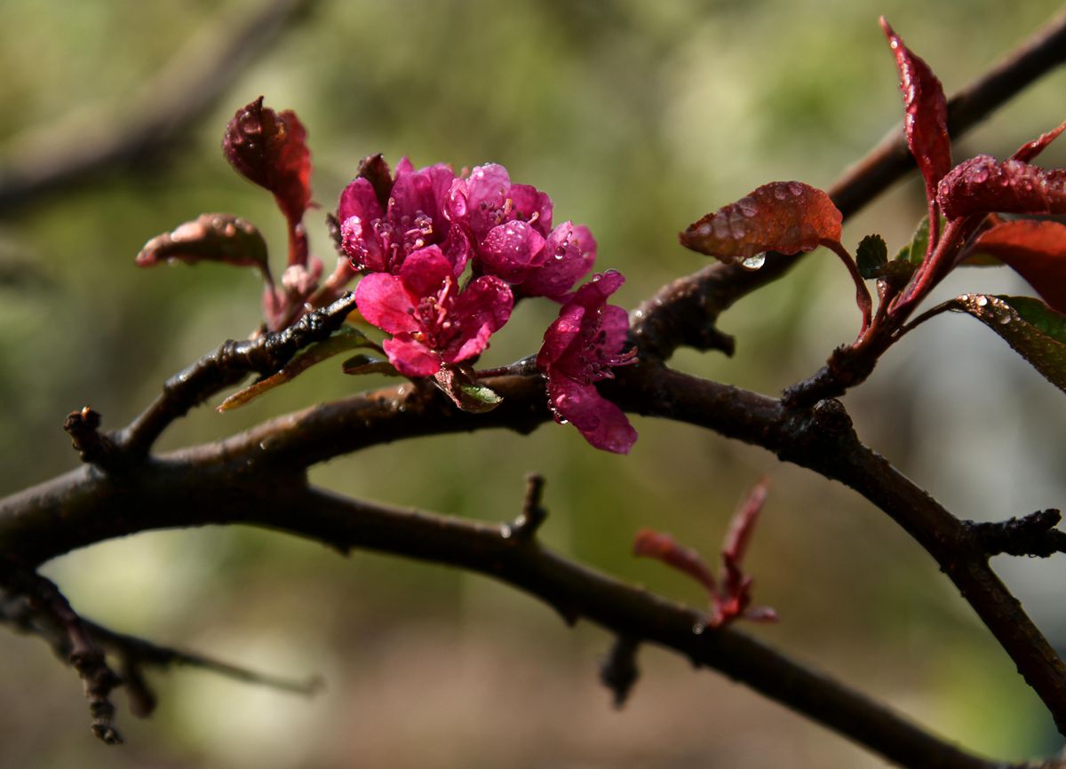 DSC_2969拷贝_副本.jpg