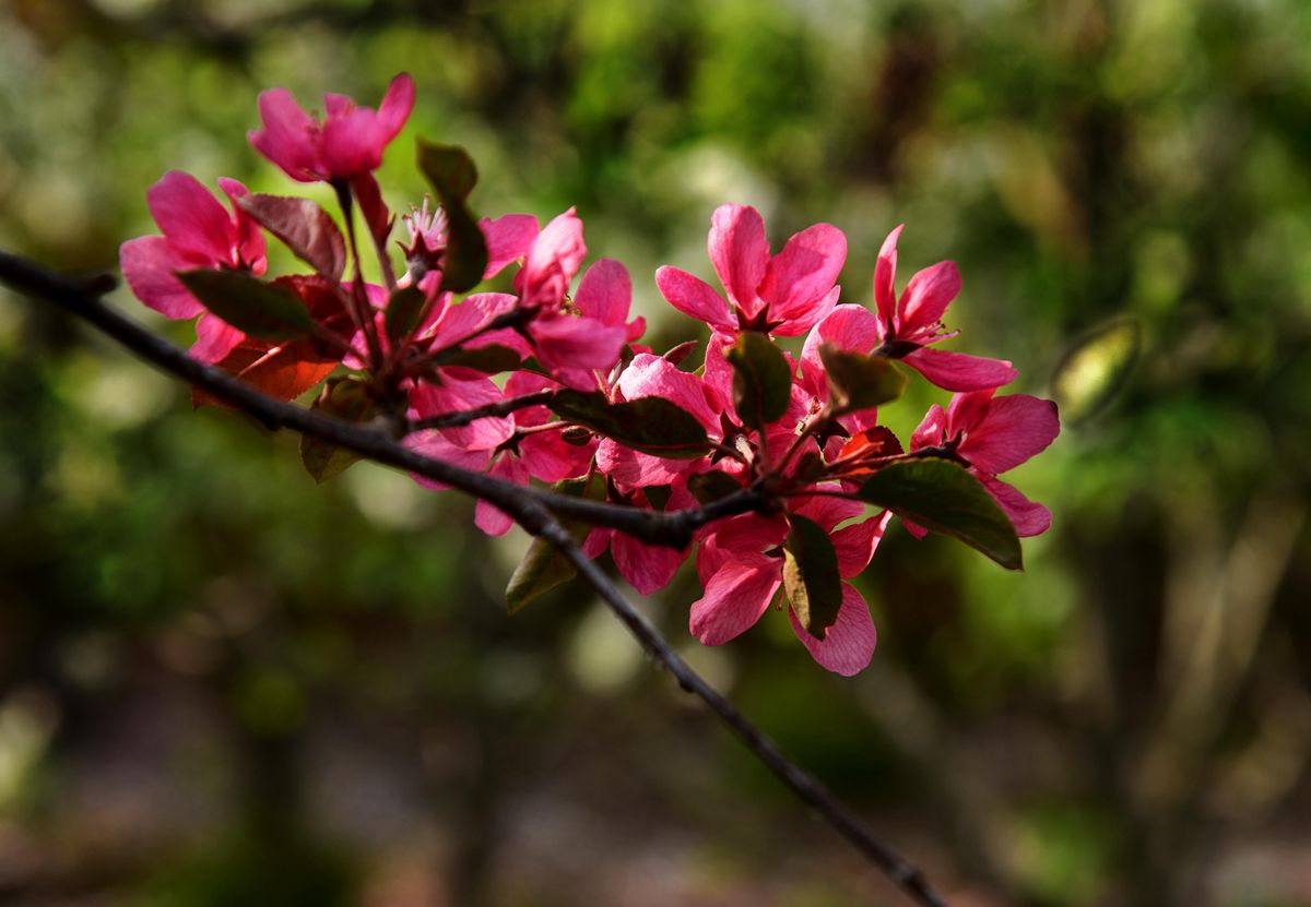 DSC_2936拷贝_副本.jpg
