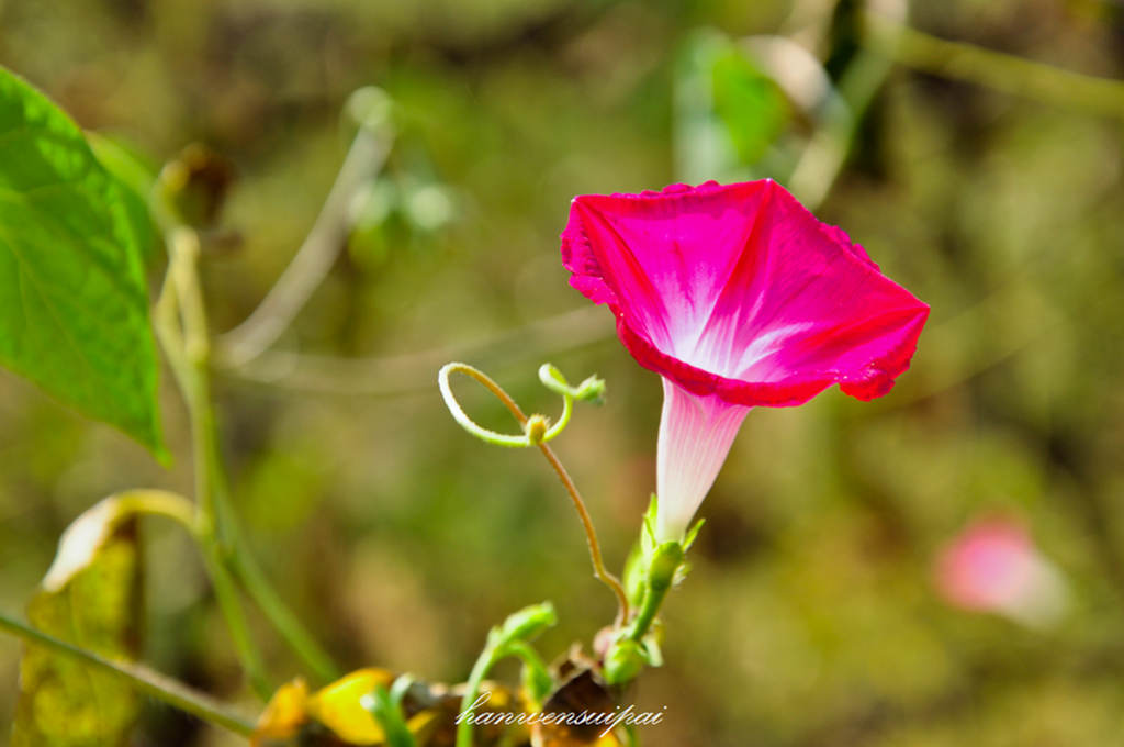 DSC_0015.JPG