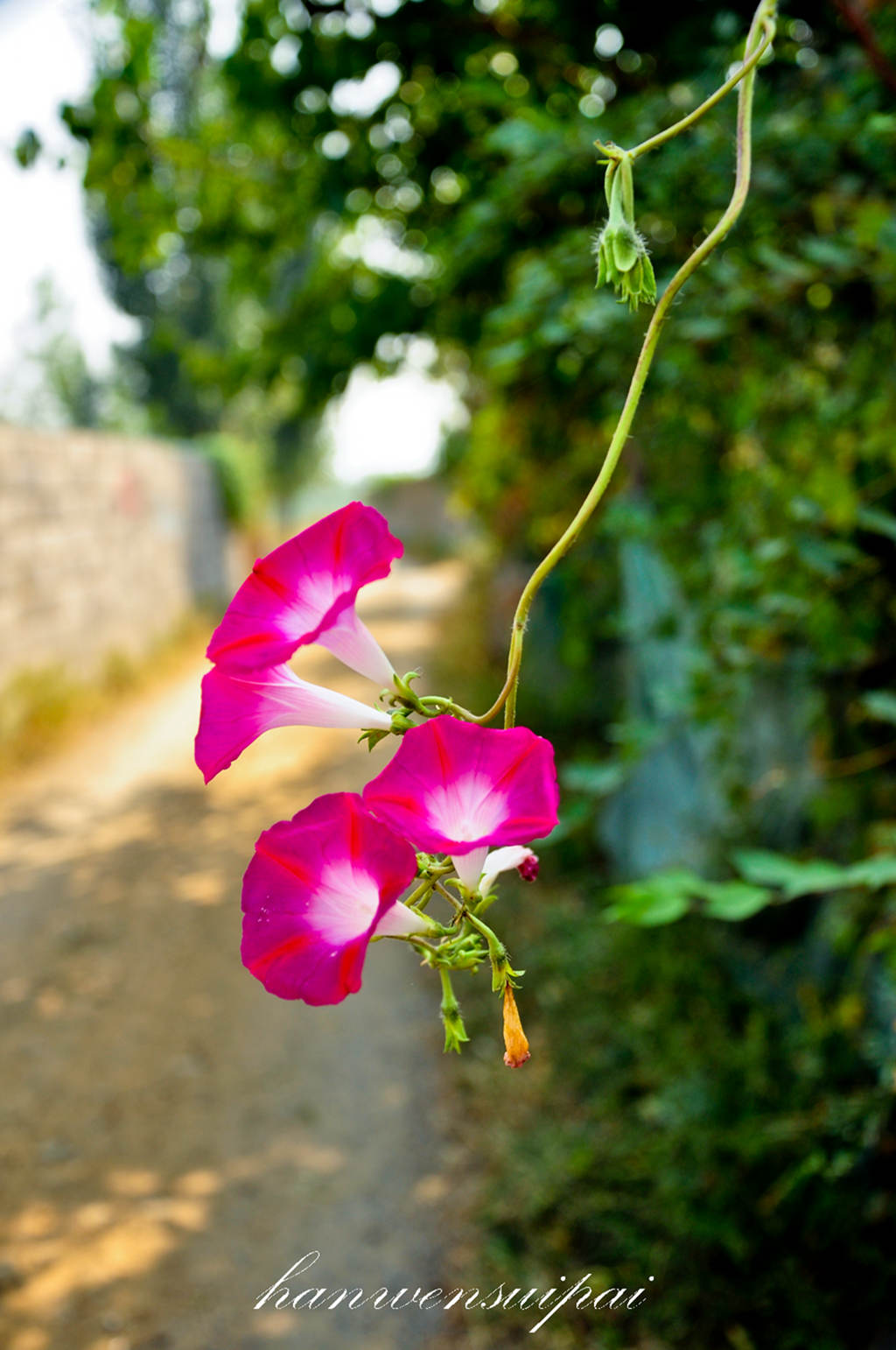 DSC_0022.JPG