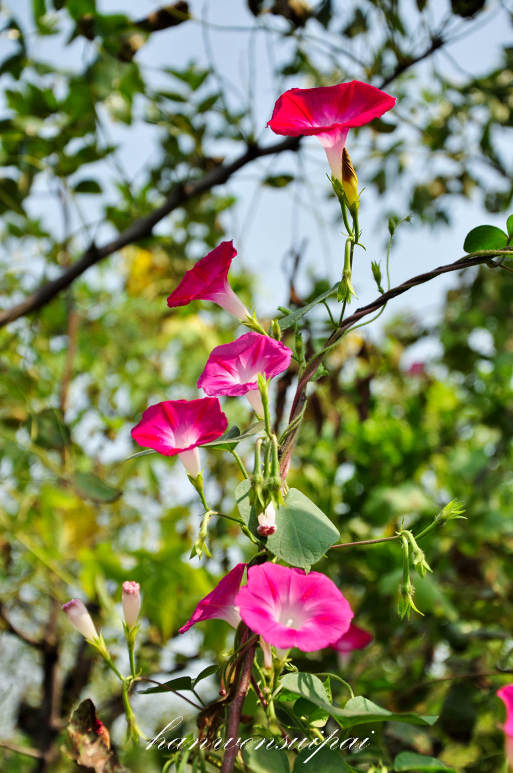 DSC_0018.JPG
