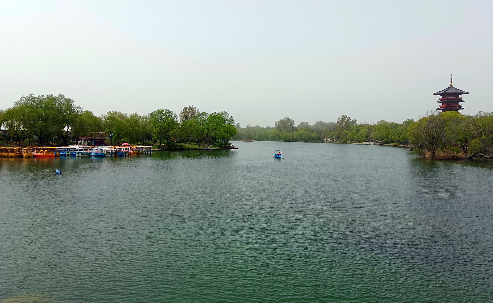 IMG_20230412_103831.jpg