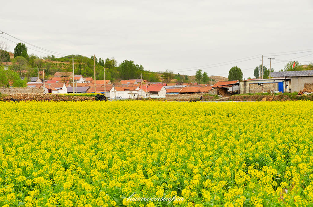 DSC_0005.JPG