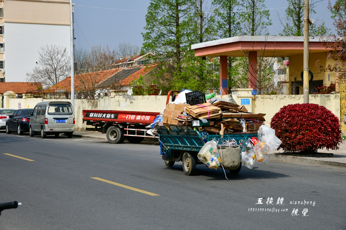 DSC_8050.JPG