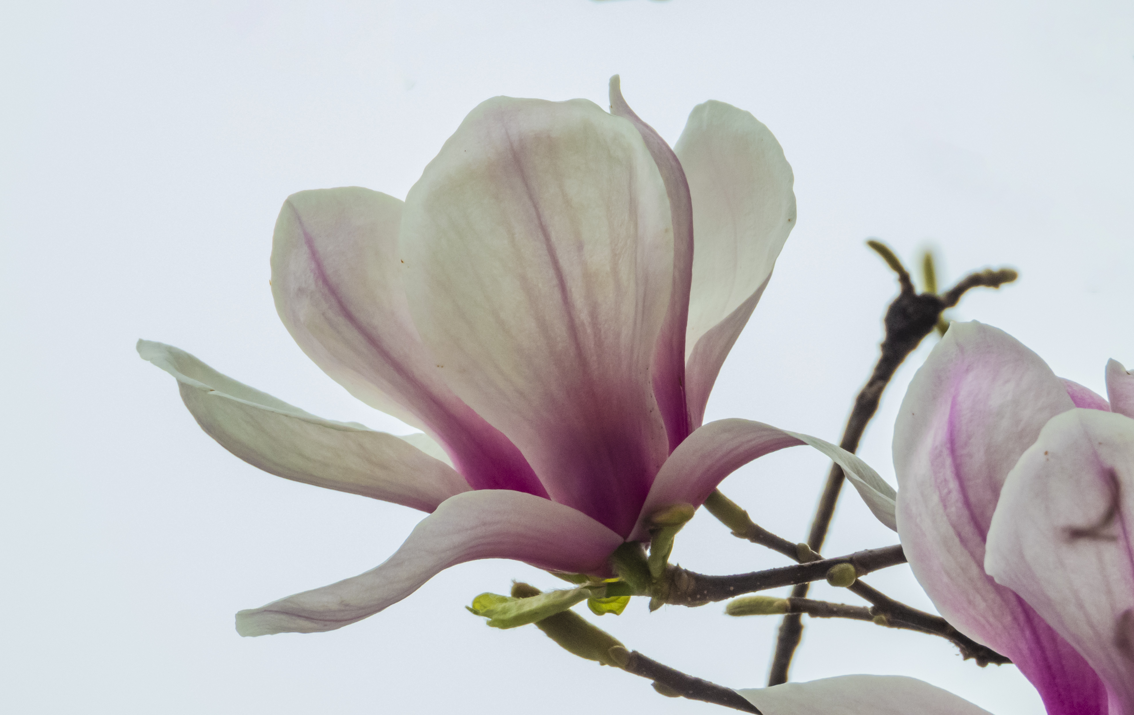 DSCN2253.jpg