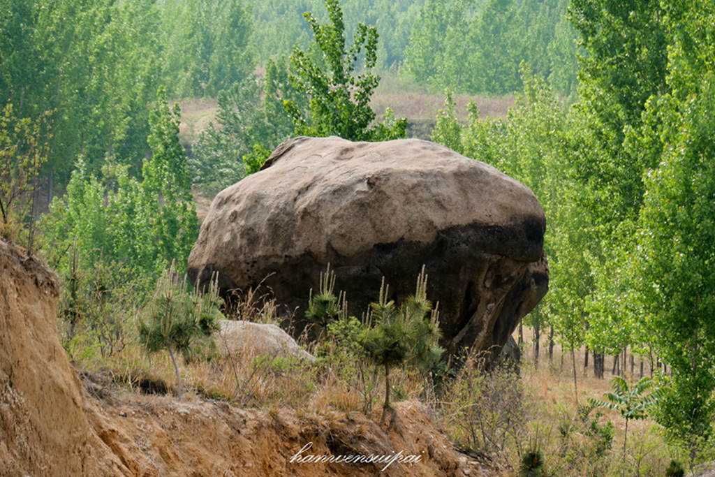 P1000477.JPG