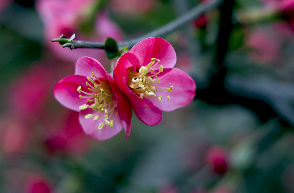 IMGP4767副本.jpg